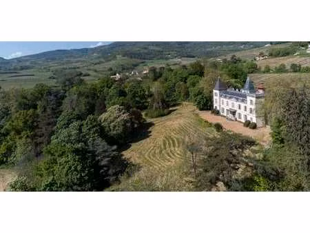 château emeringes (69)