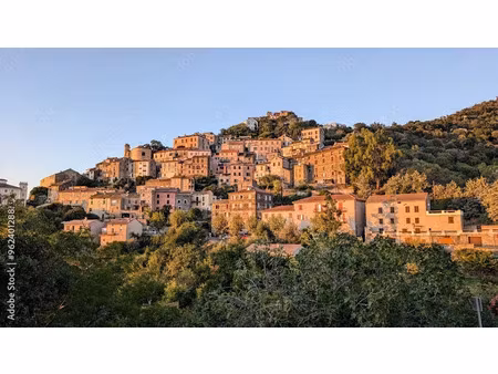 vente appartement 5 pièces 90.54 m² à oletta (20232)  nan €