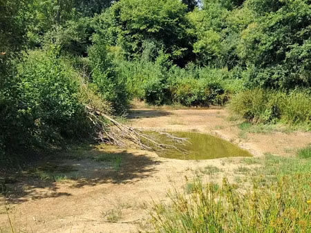 vente terrain 1230 m² à chateaubriant (44110)  10 500 €