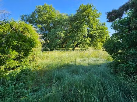 lotissement de 979 m² à savasse