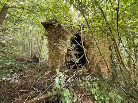 vente terrain 700 m² à champier (38260)  89 000 €