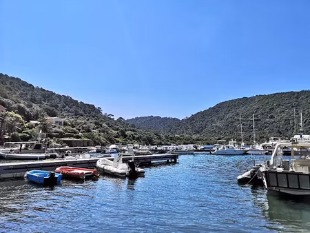 vente locaux professionnels 100 m² à bormes-les-mimosas (83230)  635 000 €