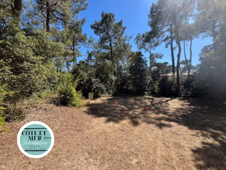 vente terrain à saint-jean-de-monts (85160) : à vendre / saint-jean-de-monts