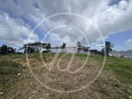 à vendre terrain constructible aux abymes 484 210 €