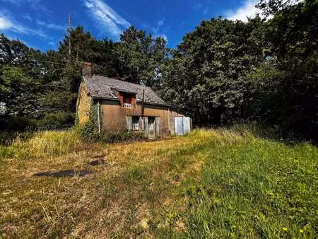 vente maison au gâvre (44130) : à vendre / 35m² le gâvre