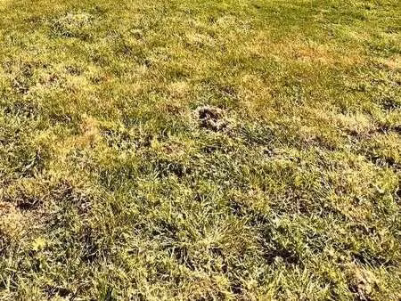 vente terrain à blain (44130) : à vendre / 200m² blain