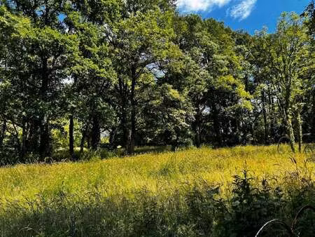 vente terrain au gâvre (44130) : à vendre / 388m² le gâvre