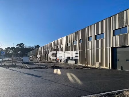 location entrepôt / local d'activités le haillan 7 541 m²