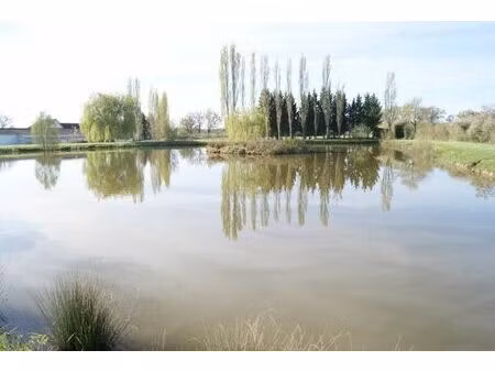 vente commerce 18627 m² domérat (03410)