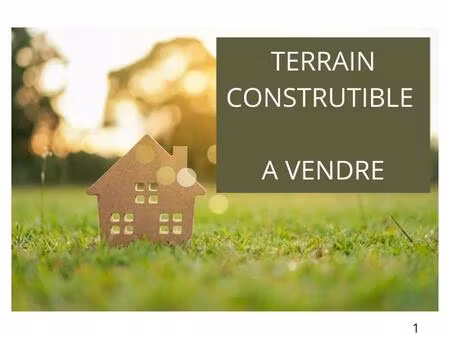 grand terrain constructible au pieds du futuroscope.