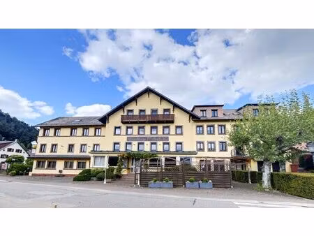 achat local commercial 2 086m² wangenbourg 67710