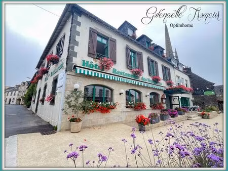 vente commerce 20 pièces 1540 m² sizun (29450)