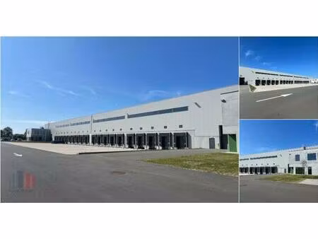 surface industrielle à louer à koffieweg 50 zeebrugge (rbt43065)