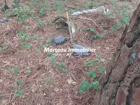 terrain de loisirs arnage