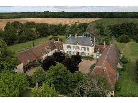 vente demeure d'exception piscine à châteauneuf-sur-cher (18190) : à vendre piscine / 250m