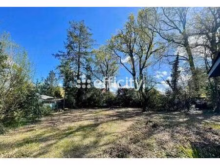 vente terrain à orvault (44700) : à vendre / 504m² orvault