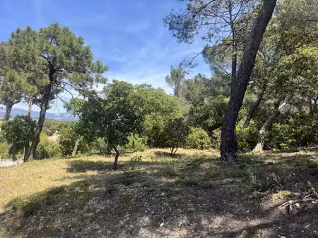 terrain en zone naturelle forêt