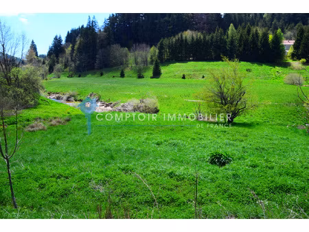 dépt. 07 - a vendre secteur coucouron - maison de village ré