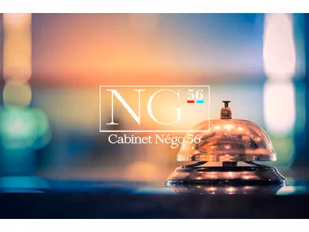 vente locaux professionnels 790 m² à ploermel (56800)  230 000 €