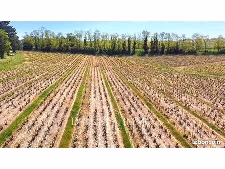 terrain 74276 m² saint-lager