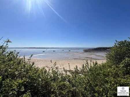vente terrain bord de mer à ambon (56190) : à vendre bord de mer / 4031m² ambon
