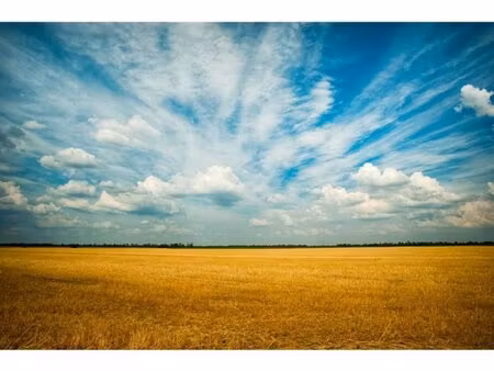 en vente terrain non constructible – 84 800 € |waldwisse