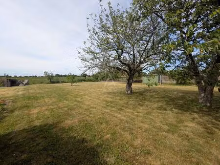 vente terrain à boussay (44190) : à vendre / boussay