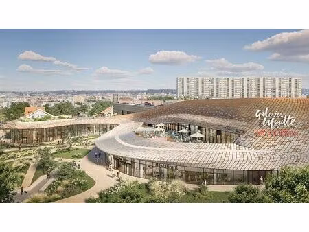 location commerce bron 20 000 m²