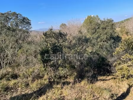 terrain à vendre gassin 16930m2 530 000€
