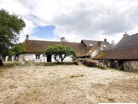 vente maison 3 pièces 82.2 m² à les bordes (45460)  163 000 €