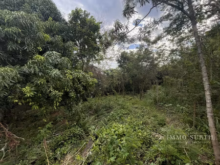 achat terrain 595m² gourbeyre 97113