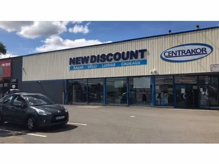 immobilier professionnel à louer cosnes-et-romain