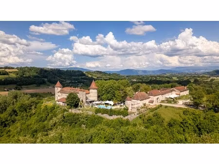 château à vendre à vignieu