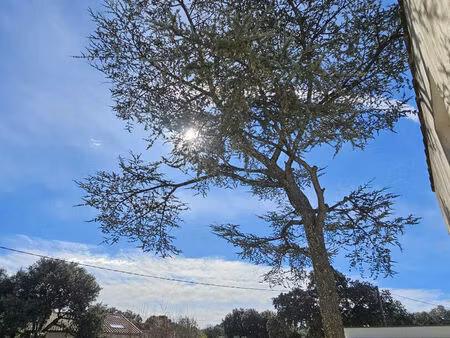 terrain habitation castelnau le lez - 2 pièce(s)