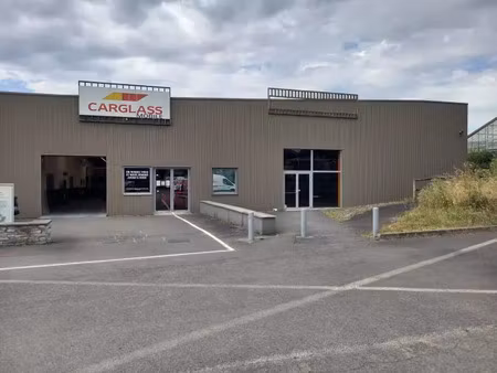 immobilier professionnel à louer les herbiers