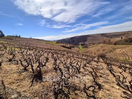 vignes en aop chiroubles libre de tout contrat