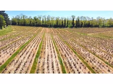 vignes en aop brouilly libre de tout contrat