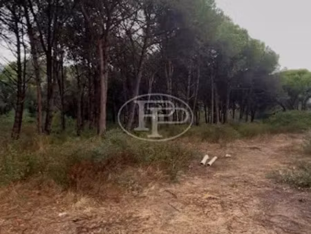 vente appartement 3 pièces 82.31 m² à calvi (20260)  478 432 €