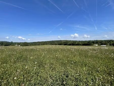 vente terrain 1566 m² feytiat (87220)