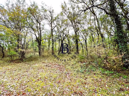 vente terrain 7000 m² à chasteaux (19600)  40 000 €