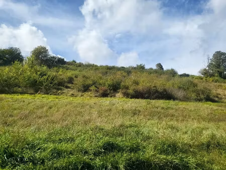 vente terrain 5323 m² à chaulgnes (58400)  16 000 €