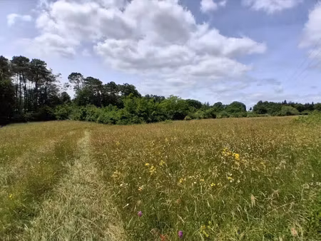 vente terrain 3221 m² à montagnac-la-crempse (24140)  29 500 €