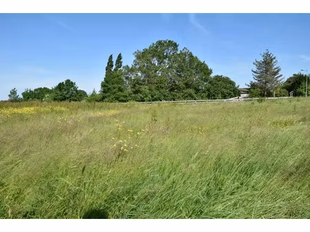 vente terrain 559 m² à saint-mars-la-jaille (44540)  24 200 €