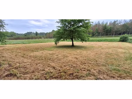 vente terrain 1219 m² à beauronne (24400)  14 500 €