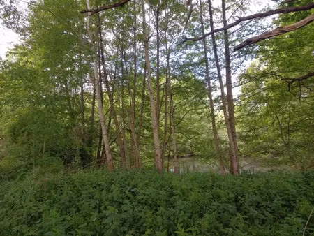 vente terrain 405 m² à courtemaux (45320)  12 500 €