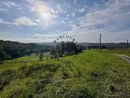 vente terrain à batir 3660 m² à dampniat (19360)  35 000 €