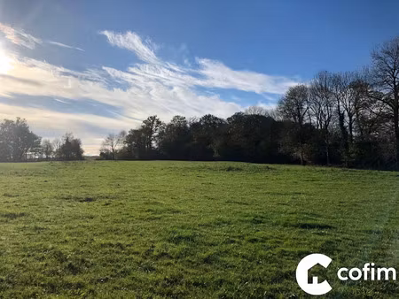 vente terrain 2578 m² à eslourenties-daban (64420)  55 000 €