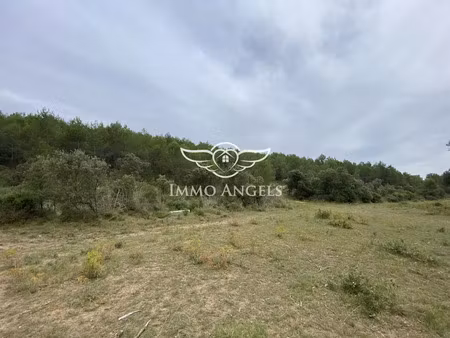 vente terrain 49670 m² à sauteyrargues (34270)  29 000 €