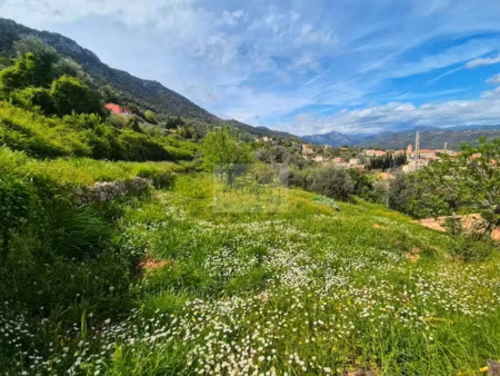 vente terrain 1715 m² à châteauneuf-villevieille (06390)  280 000 €