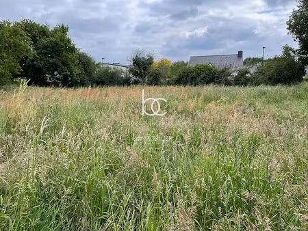 vente terrain 1000 m² à surzur (56450)  336 000 €